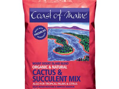 Coast Of Maine Cactus and Succulent Mix