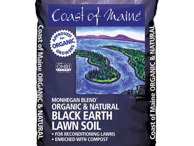 Coast Of Maine Black Earth