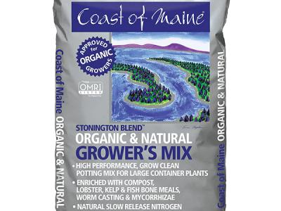 Coast Of Maine Stonington Blend