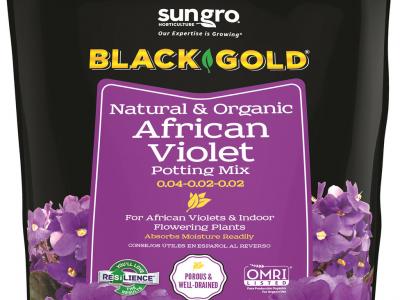 Black Gold African Violet Soil